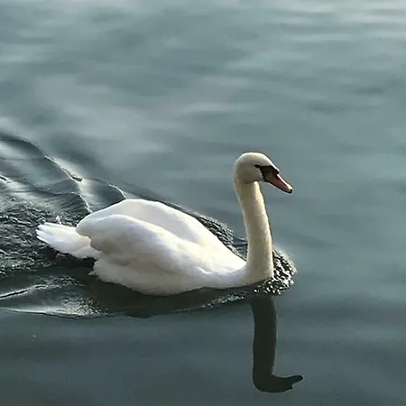 La Casa Di Tito - Lake Como